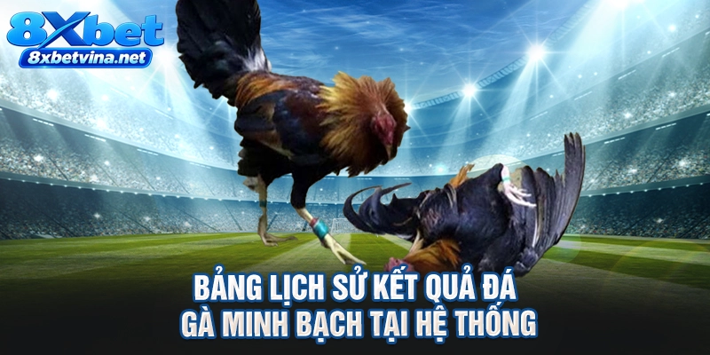 Bảng lịch sử kết quả đá gà minh bạch tại hệ thống