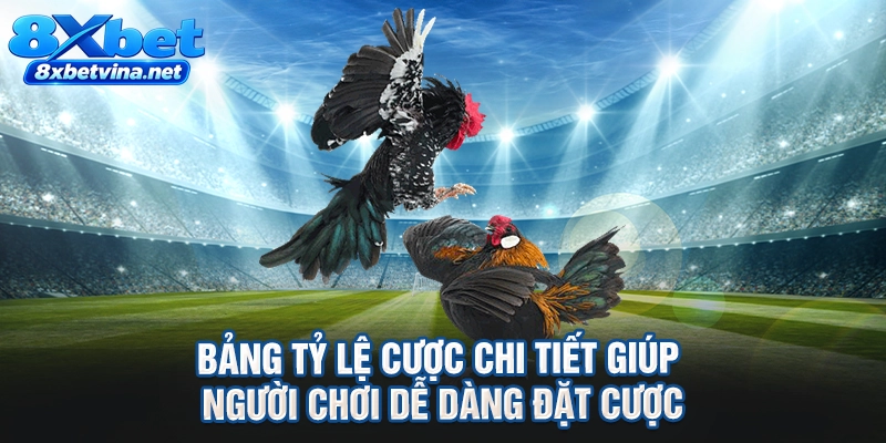 Bảng tỷ lệ cược chi tiết giúp người chơi dễ dàng đặt cược