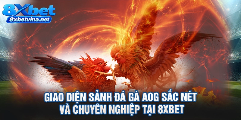 Giao diện sảnh đá gà AOG sắc nét và chuyên nghiệp tại 8XBET