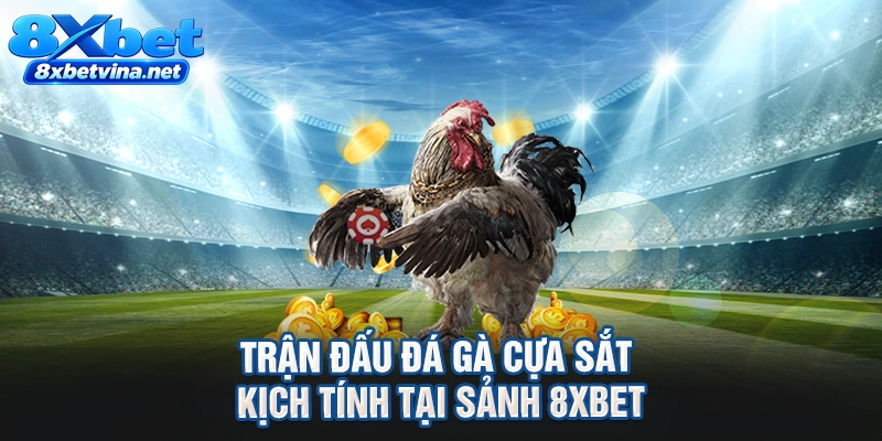 Trận đấu đá gà cựa sắt kịch tính tại sảnh 8XBET